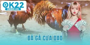 đá gà cựa dao