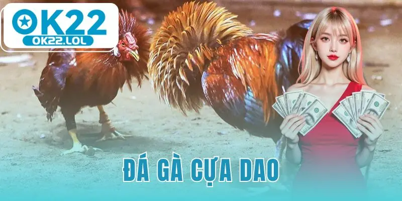 đá gà cựa dao