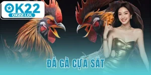 đá gà cựa sắt