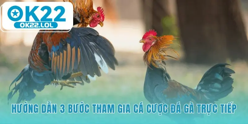 Hướng dẫn tham gia cá cược đá gà qua 3 bước đơn giản