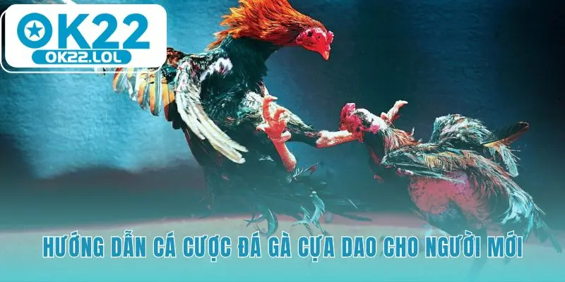 Hướng dẫn cá cược đá gà cựa dao giúp bạn tự tin tham gia