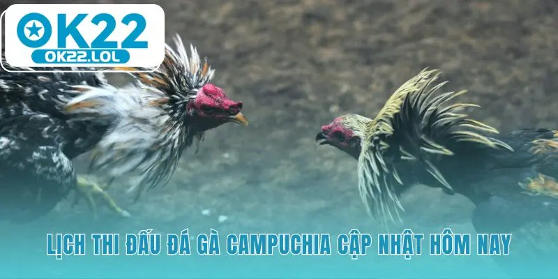 Lịch thi đấu cập nhật hàng ngày hơn 40 trận đấu kịch tính