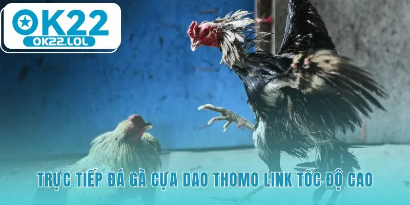 Link trực tiếp đá gà cựa dao cung cấp đường truyền sắc nét full HD
